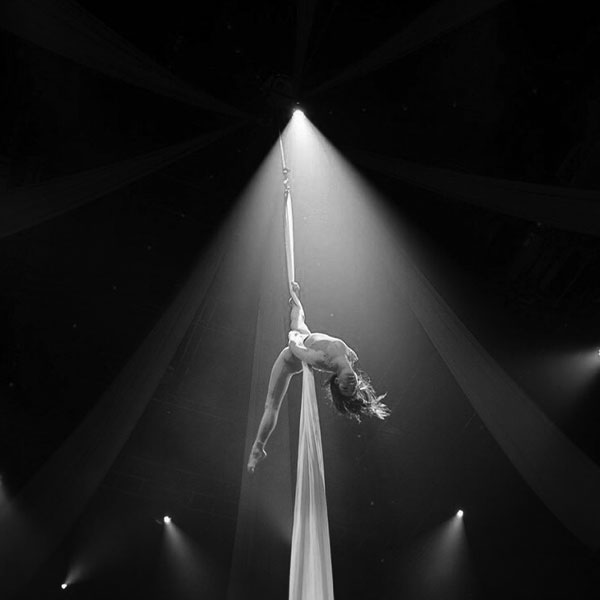 Cocktail Gala Experiences